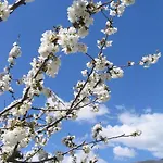 Valle Del Arenales מלון חרטה