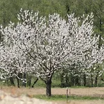 Valle Del Arenales