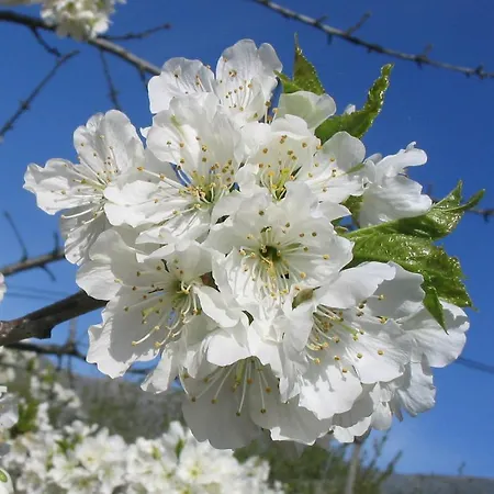 Valle Del Arenales Szálloda 2*