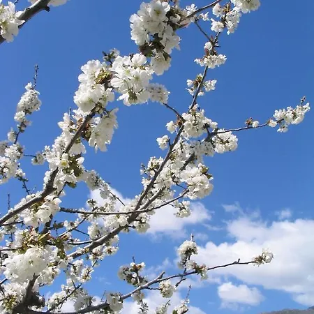 Valle Del Arenales Szálloda Jerte