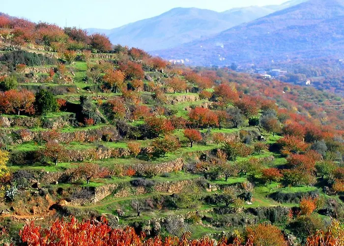 Hotel Valle Del Arenales 2*