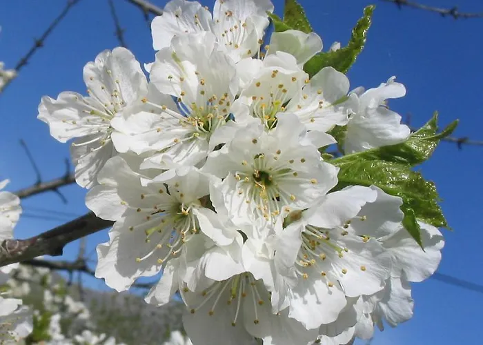 Valle Del Arenales Hotel 2*