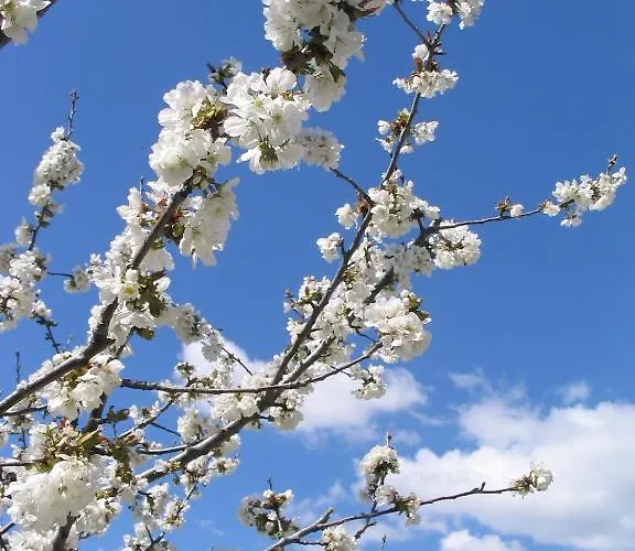 Valle Del Arenales Hotel Jerte